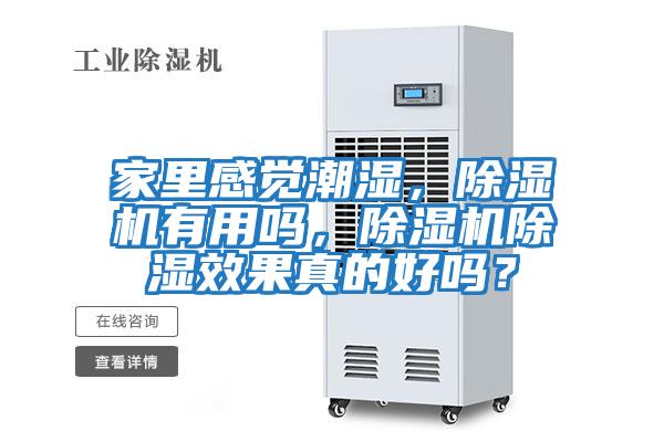 家里感覺潮濕，除濕機(jī)有用嗎，除濕機(jī)除濕效果真的好嗎？