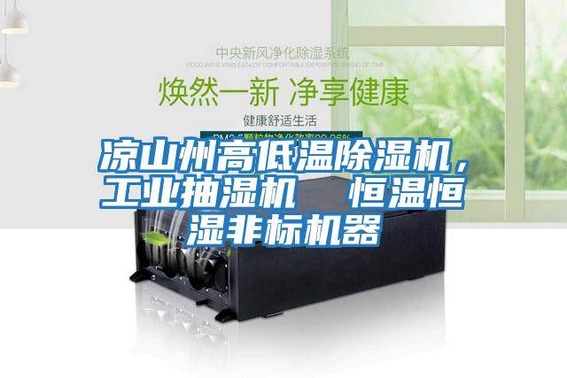 涼山州高低溫除濕機，工業(yè)抽濕機  恒溫恒濕非標(biāo)機器
