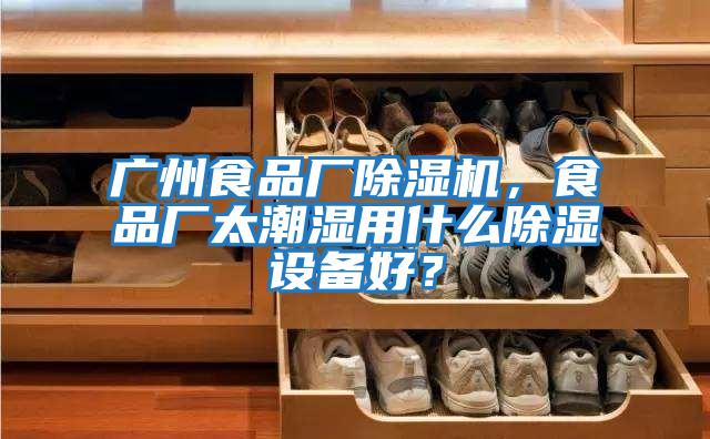 廣州食品廠除濕機(jī)，食品廠太潮濕用什么除濕設(shè)備好？