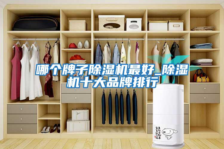 哪個(gè)牌子除濕機(jī)最好_除濕機(jī)十大品牌排行