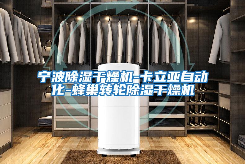 寧波除濕干燥機-卡立亞自動化-蜂巢轉(zhuǎn)輪除濕干燥機