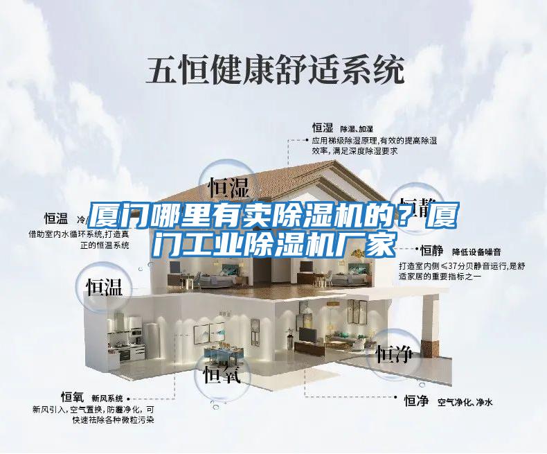 廈門哪里有賣除濕機(jī)的？廈門工業(yè)除濕機(jī)廠家