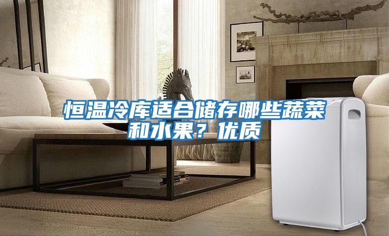 恒溫冷庫適合儲存哪些蔬菜和水果？優質