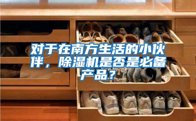 對(duì)于在南方生活的小伙伴，除濕機(jī)是否是必備產(chǎn)品？
