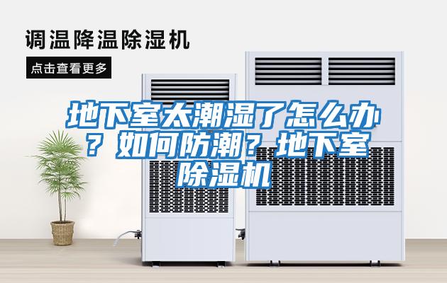 地下室太潮濕了怎么辦？如何防潮？地下室除濕機(jī)