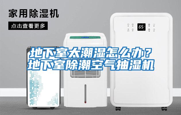 地下室太潮濕怎么辦？地下室除潮空氣抽濕機
