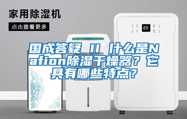 國成答疑 II 什么是Nafion除濕干燥器？它具有哪些特點？