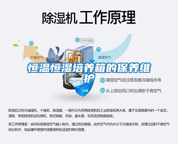 恒溫恒濕培養(yǎng)箱的保養(yǎng)維護(hù)