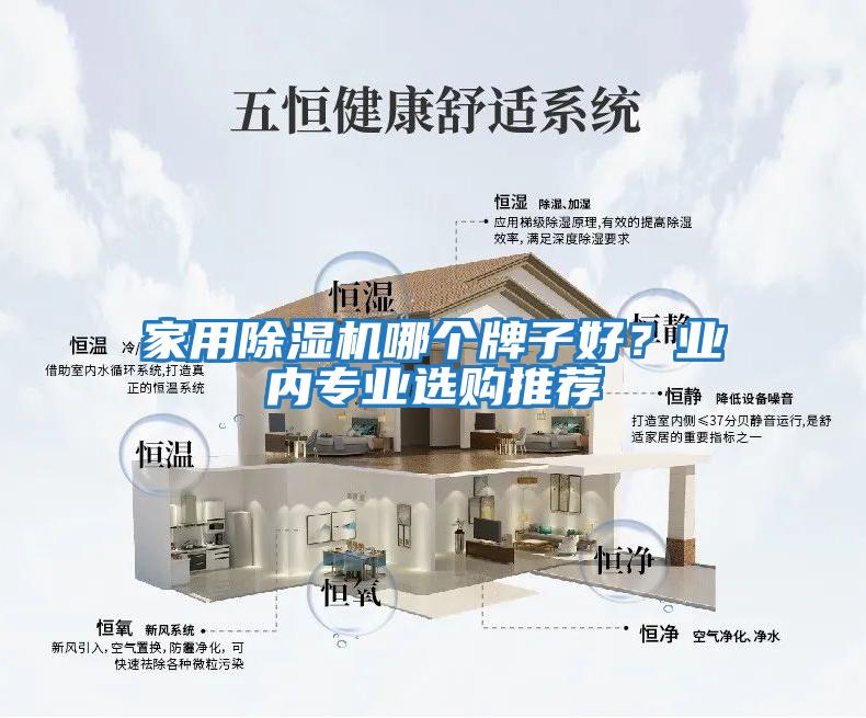 家用除濕機(jī)哪個(gè)牌子好？業(yè)內(nèi)專業(yè)選購?fù)扑]
