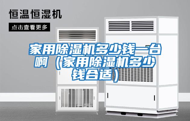 家用除濕機(jī)多少錢一臺(tái)啊（家用除濕機(jī)多少錢合適）
