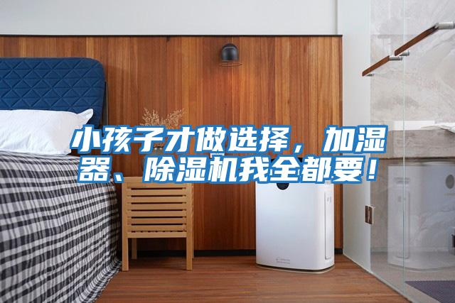 小孩子才做選擇，加濕器、除濕機我全都要！