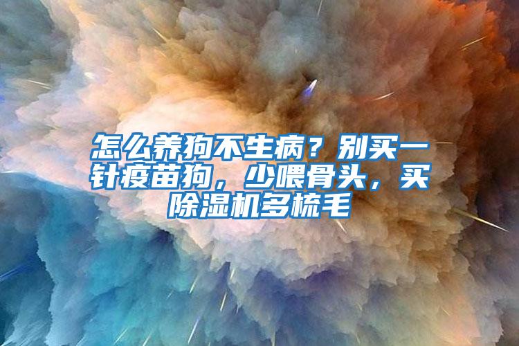 怎么養(yǎng)狗不生病？別買一針疫苗狗，少喂骨頭，買除濕機多梳毛