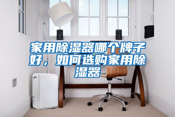 家用除濕器哪個牌子好，如何選購家用除濕器