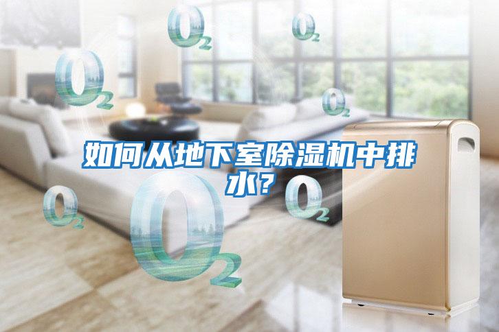 如何從地下室除濕機(jī)中排水？