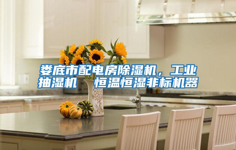 婁底市配電房除濕機，工業抽濕機  恒溫恒濕非標機器