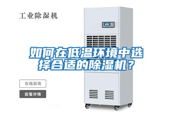 如何在低溫環境中選擇合適的除濕機？