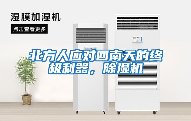 北方人應對回南天的終極利器，除濕機
