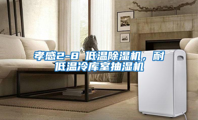 孝感2-8℃低溫除濕機，耐低溫冷庫室抽濕機