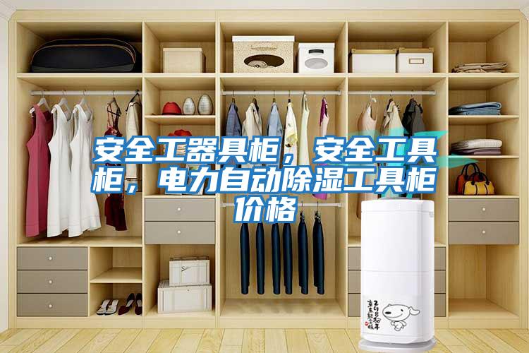 安全工器具柜，安全工具柜，電力自動(dòng)除濕工具柜價(jià)格