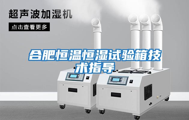 合肥恒溫恒濕試驗箱技術指導