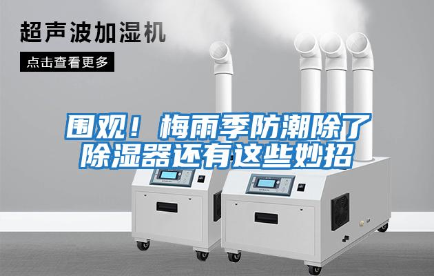 圍觀！梅雨季防潮除了除濕器還有這些妙招