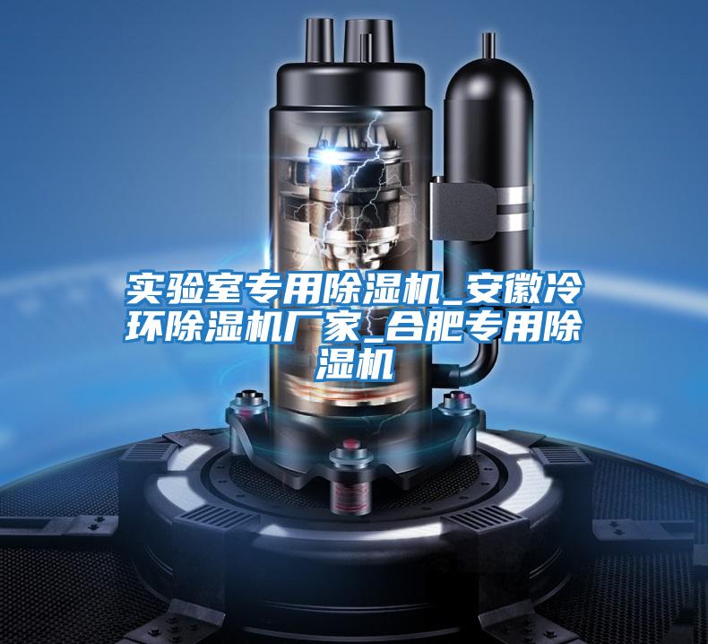 實驗室專用除濕機_安徽冷環(huán)除濕機廠家_合肥專用除濕機