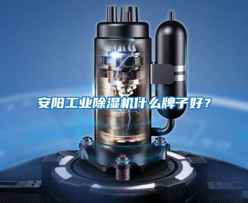 安陽工業除濕機什么牌子好？