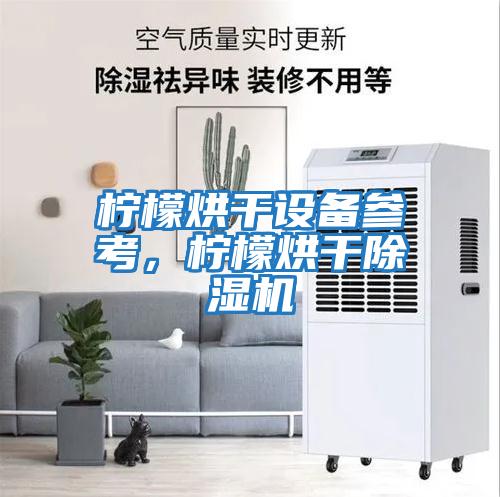 檸檬烘干設備參考，檸檬烘干除濕機