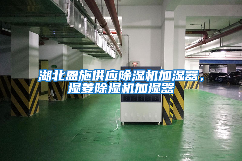 湖北恩施供應除濕機加濕器，濕菱除濕機加濕器