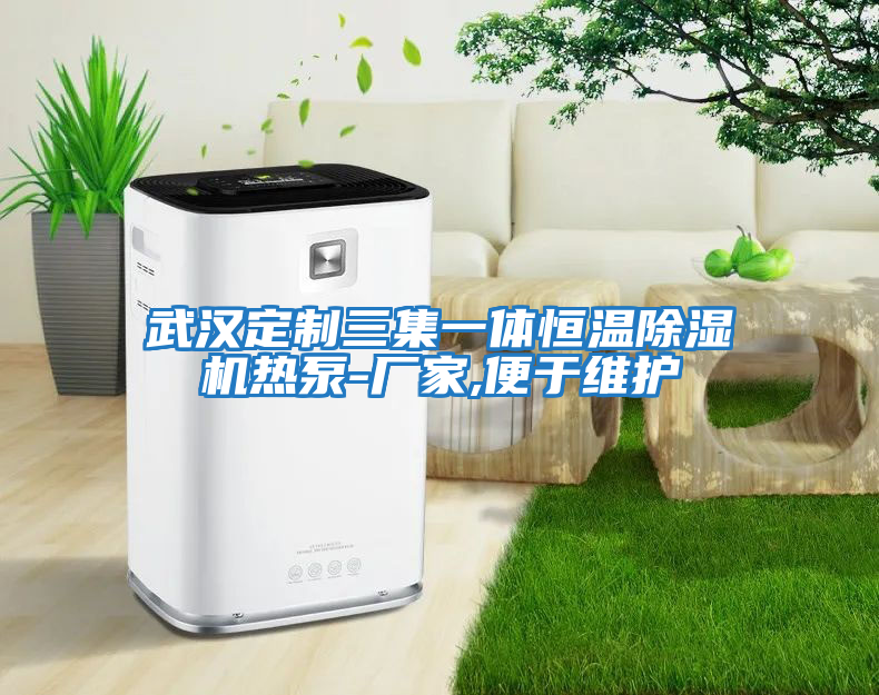 武漢定制三集一體恒溫除濕機熱泵-廠家,便于維護