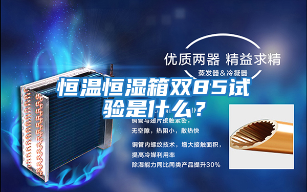 恒溫恒濕箱雙85試驗是什么？