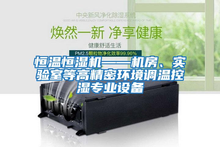 恒溫恒濕機(jī)——機(jī)房、實(shí)驗(yàn)室等高精密環(huán)境調(diào)溫控濕專業(yè)設(shè)備
