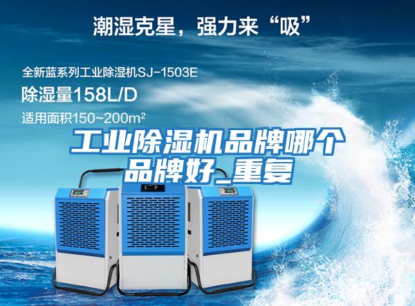工業(yè)除濕機品牌哪個品牌好_重復(fù)
