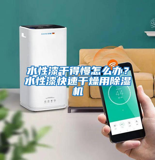 水性漆干得慢怎么辦？水性漆快速干燥用除濕機(jī)