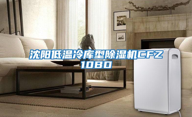 沈陽低溫冷庫(kù)型除濕機(jī)CFZ10BD