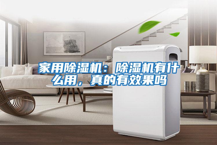 家用除濕機：除濕機有什么用，真的有效果嗎