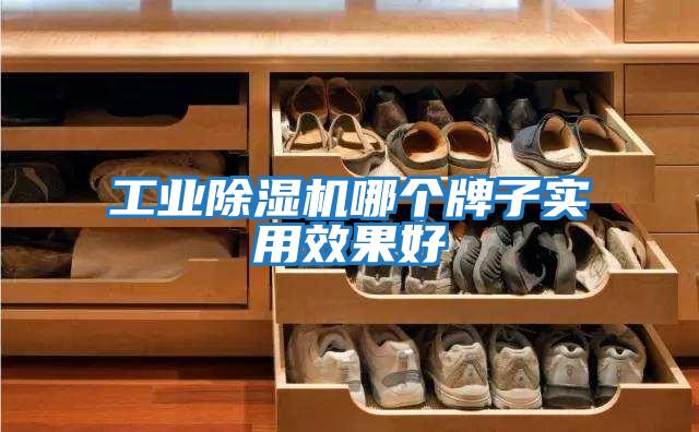 工業除濕機哪個牌子實用效果好