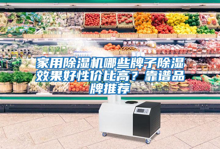 家用除濕機(jī)哪些牌子除濕效果好性?xún)r(jià)比高？靠譜品牌推薦