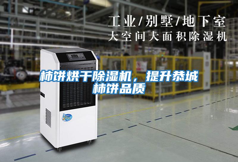 柿餅烘干除濕機，提升恭城柿餅品質