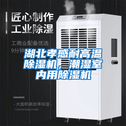 湖北孝感耐高溫除濕機，潮濕室內用除濕機