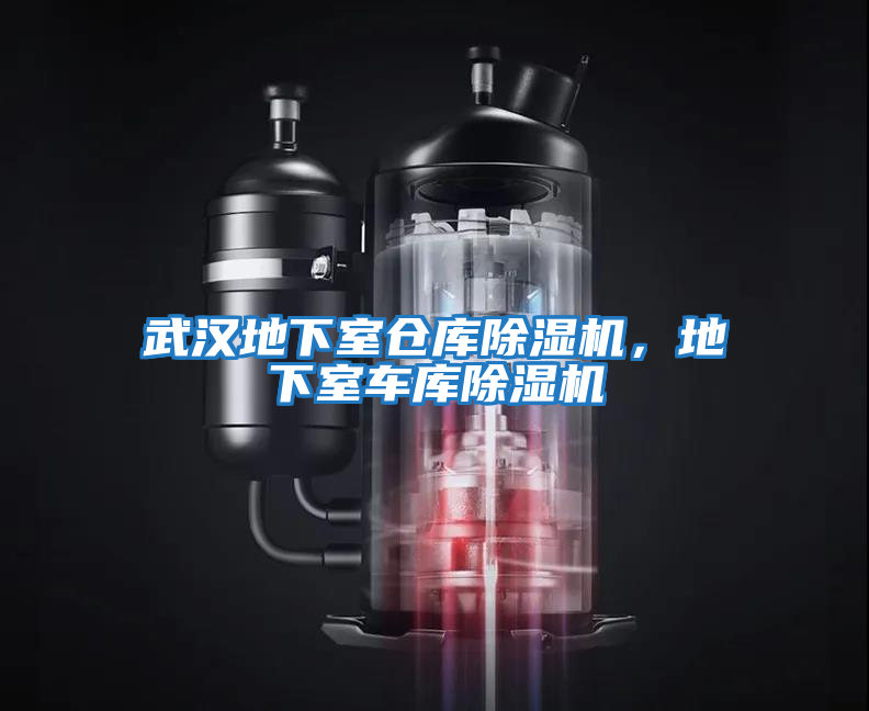武漢地下室倉庫除濕機，地下室車庫除濕機