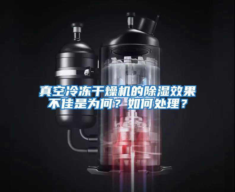 真空冷凍干燥機的除濕效果不佳是為何？如何處理？
