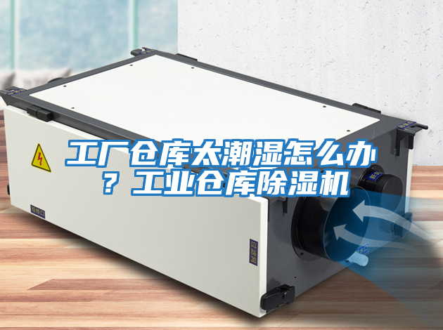工廠倉庫太潮濕怎么辦？工業倉庫除濕機