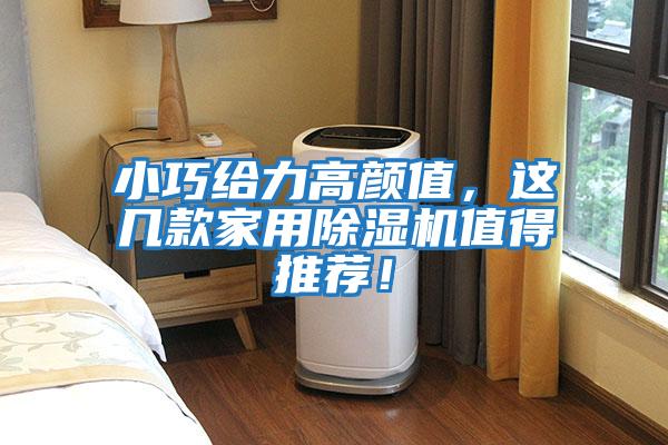 小巧給力高顏值，這幾款家用除濕機(jī)值得推薦！