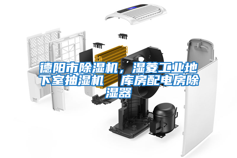 德陽市除濕機，濕菱工業(yè)地下室抽濕機  庫房配電房除濕器