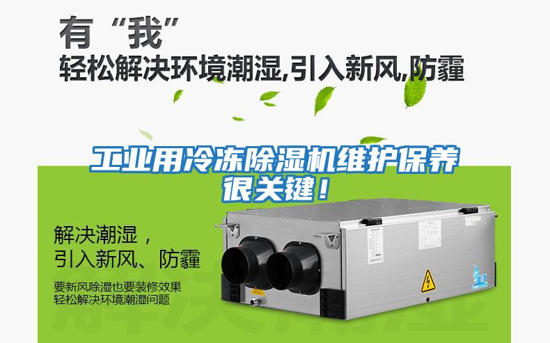 工業(yè)用冷凍除濕機維護保養(yǎng)很關鍵！