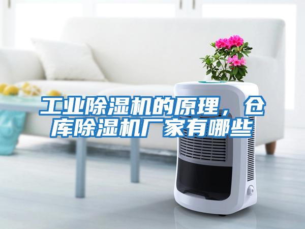 工業除濕機的原理，倉庫除濕機廠家有哪些