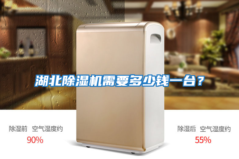 湖北除濕機需要多少錢一臺？