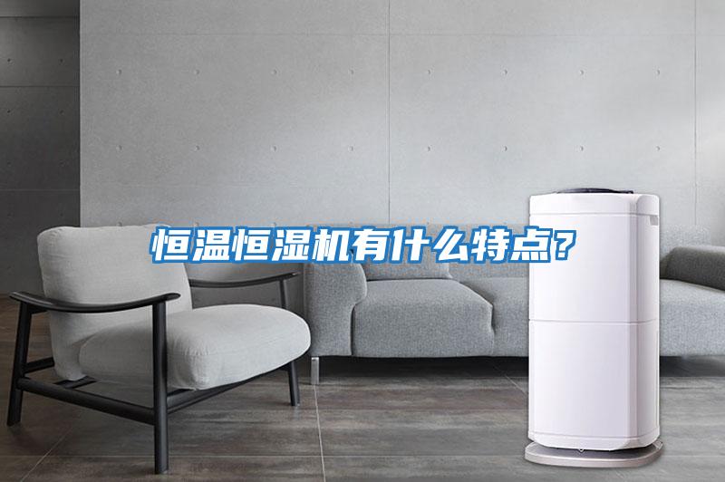 恒溫恒濕機(jī)有什么特點(diǎn)？