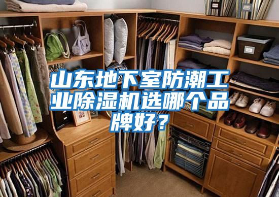 山東地下室防潮工業(yè)除濕機(jī)選哪個(gè)品牌好？